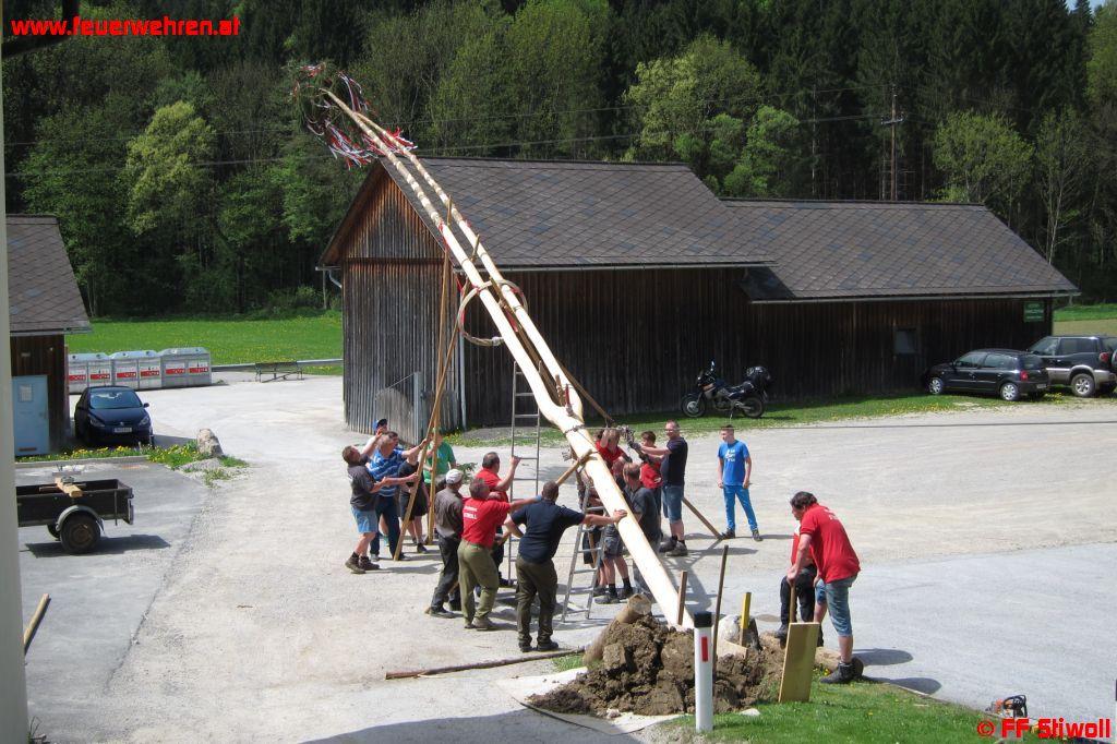 FF Stiwoll: Maibaum 2013