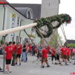 Maibaum steht