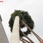 Maibaum steht