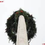 Maibaum steht