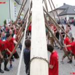 Maibaum steht