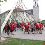 Maibaum steht
