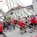 Maibaum steht