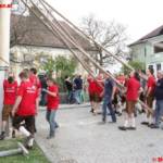 Maibaum steht