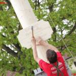 Maibaum steht