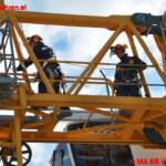 BF Wien: Vogelnest auf Turmdrehkran