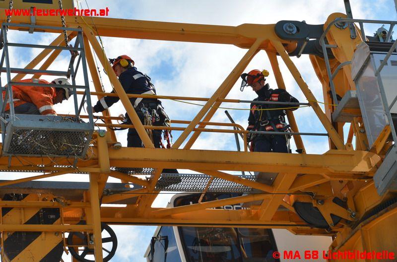 BF Wien: Vogelnest auf Turmdrehkran