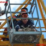 Vogelnest auf Turmdrehkran