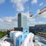 Vogelnest auf Turmdrehkran