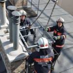 Vogelnest auf Turmdrehkran