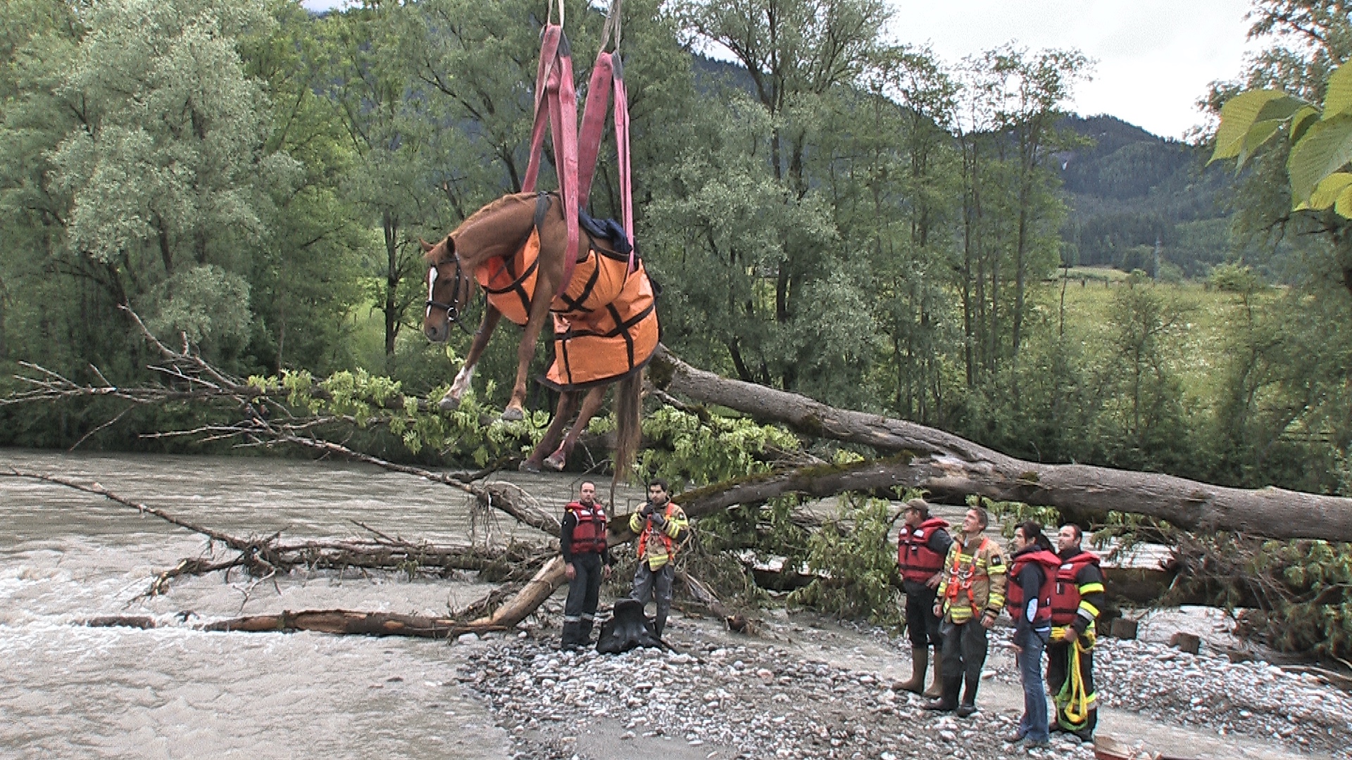 BFV Liezen: Pferd mit Kran aus Enns gerettet