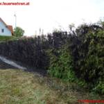 Heckenbrand beim Friedhof