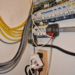 Wasser tropft aus Großstadtplantage