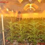 Wasser tropft aus Großstadtplantage