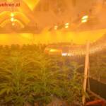 BF Wien: Wasser tropft aus Großstadtplantage