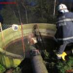 BFVDL: Zwei Tierrettungen in Aibl an einem Tag