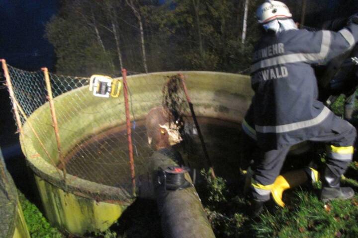 BFVDL: Zwei Tierrettungen in Aibl an einem Tag