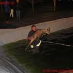 Zwei Tierrettungen in Aibl an einem Tag