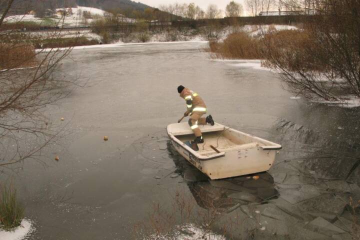 FF St. Georgen i.A.: Tierrettung in Regenwasserteich