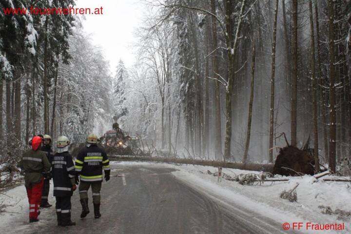 BFVDL: Weitere Schneeeinsätze
