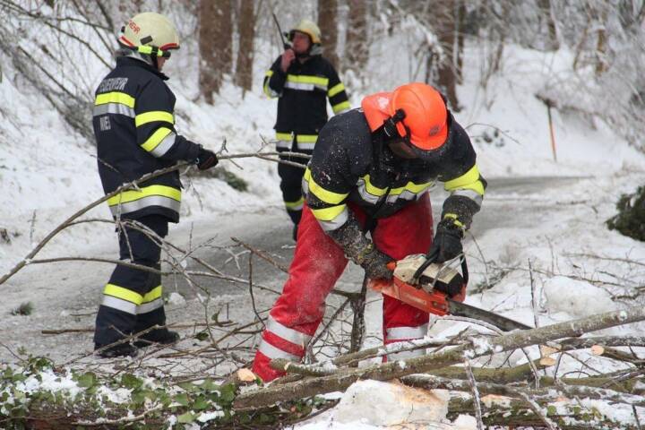 BFVDL: Wetterbedingte Einsätze im Bezirk Deutschlandsberg