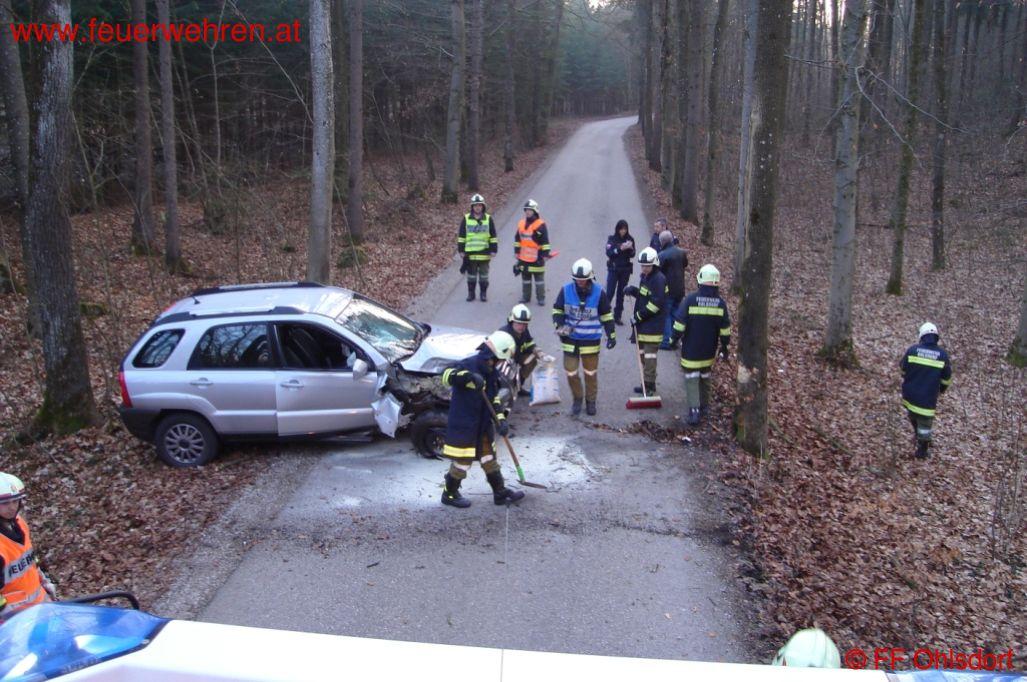 FF Ohlsdorf: Rehbock ausgewichen und gegen Baum geprallt