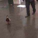 MA 68 Lichtbildstelle