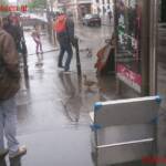 BF Wien: Entenspaziergang in der Innenstadt