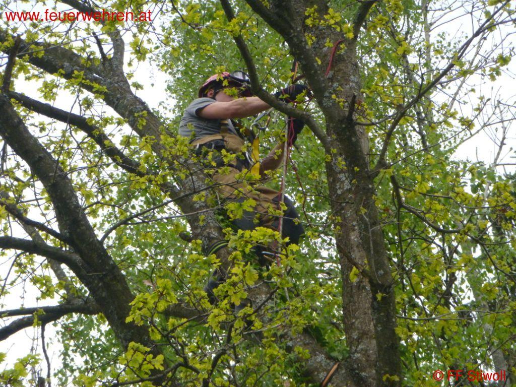 FF Stiwoll: Bergung eines Modellflugzeuges