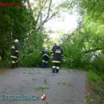 FF Stegersbach: Sturmschaden