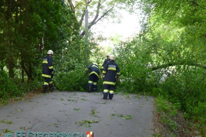 FF Stegersbach: Sturmschaden