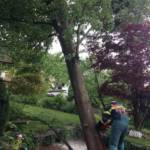 FF Judendorf-Straßengel