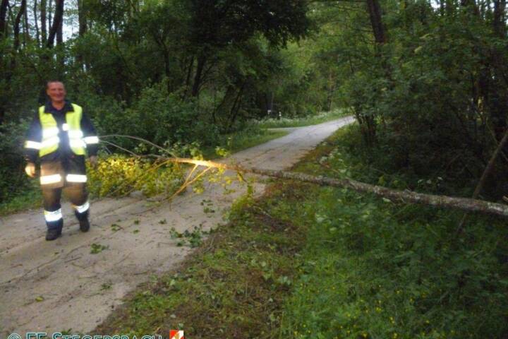 FF Stegersbach: Sturmeinsätze