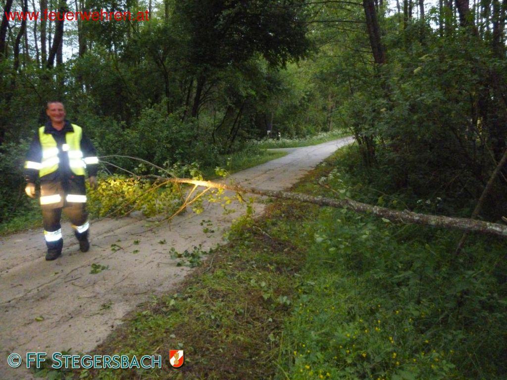 FF Stegersbach: Sturmeinsätze