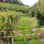 BH Südoststeiermark: Hangrutschung in Gruisla zum Katastrophengebiet erklärt 8 STED/Karner