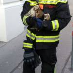 MA 68 Lichtbildstelle