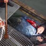 MA 68 Lichtbildstelle