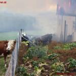 BFVDL: Wirtschaftsgebäudebrand in Haselbach