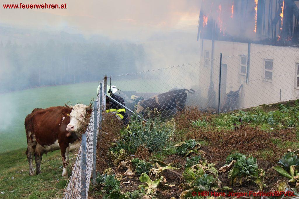 BFVDL: Wirtschaftsgebäudebrand in Haselbach
