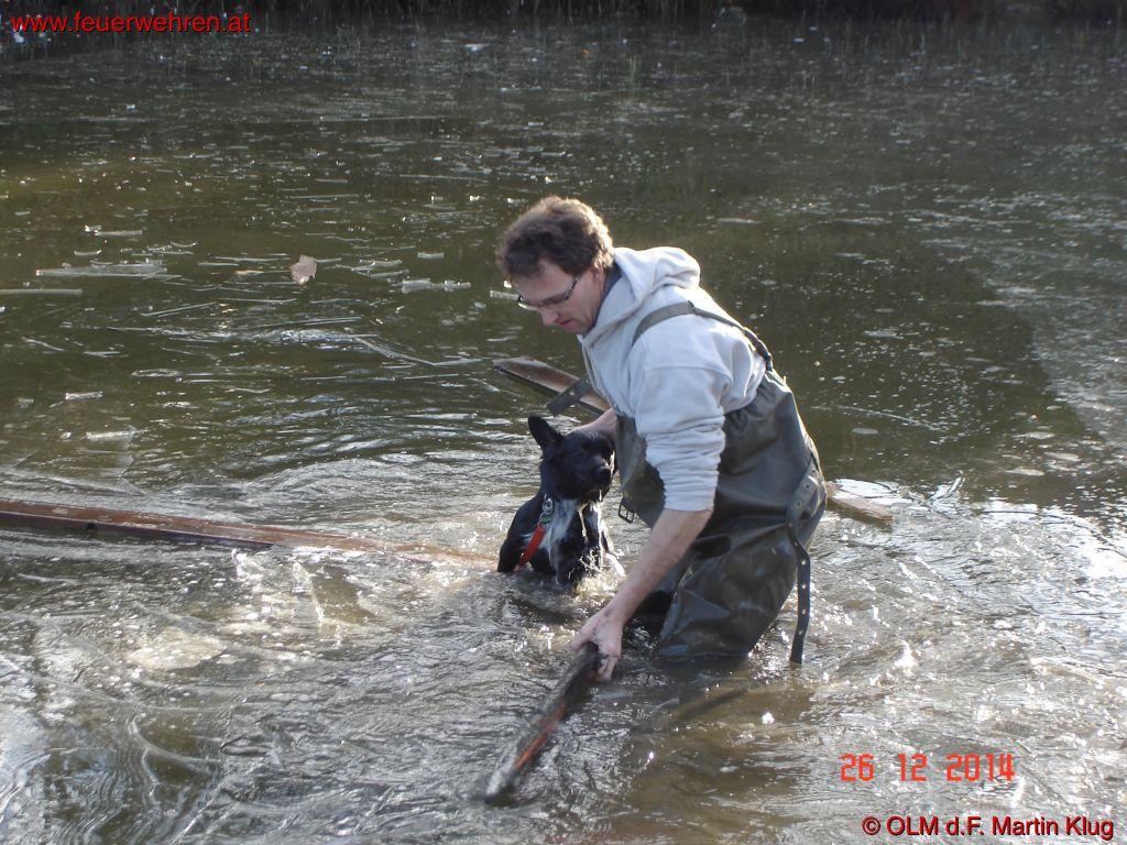 BFVDL: Tierrettung in Sankt Peter im Sulmtal