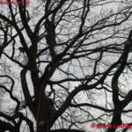 MA 68 Lichtbildstelle