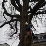 MA 68 Lichtbildstelle