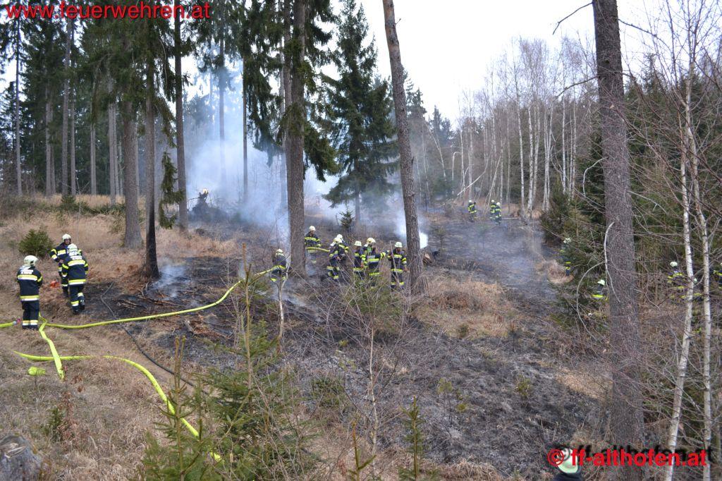 FF Althofen: Waldbrand in Althofen
