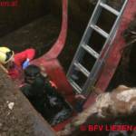 BFV Liezen (Gröbming): Feuerwehr rettet Pferd aus Jauchengrube 1