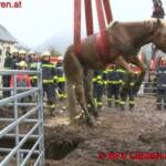 BFV Liezen (Gröbming): Feuerwehr rettet Pferd aus Jauchengrube