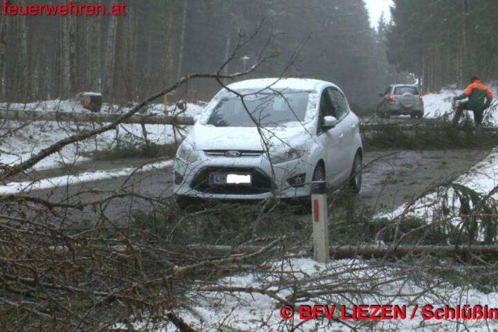 BFV Liezen: 2 PKW von umstürzenden Bäumen eingeschlossen