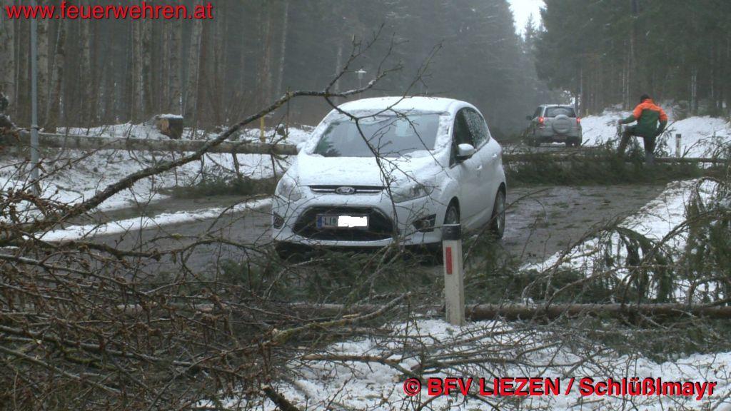 BFV Liezen: 2 PKW von umstürzenden Bäumen eingeschlossen