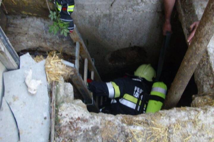 FF Loipersbach: Tierrettung in Natschbach