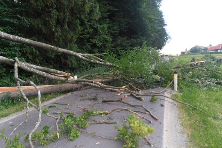 FF Lichtenberg: Sturmschaden