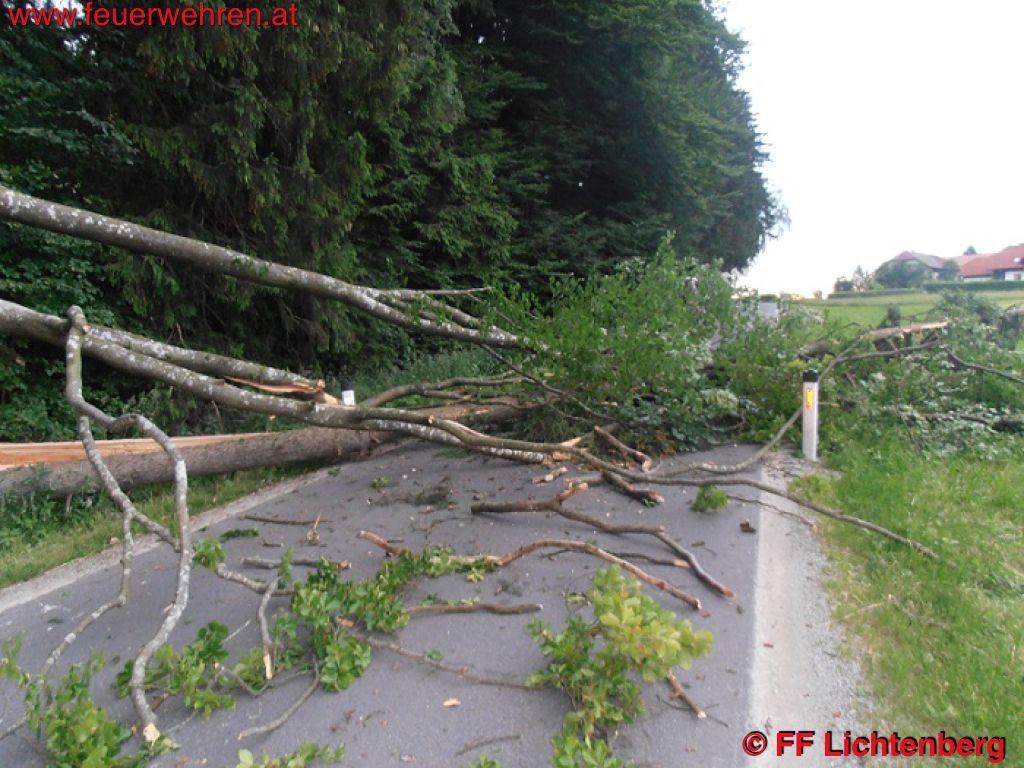 FF Lichtenberg: Sturmschaden